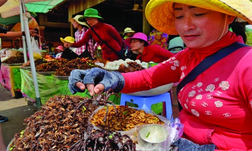 Cambodia fears Tarantula may go off the menu 