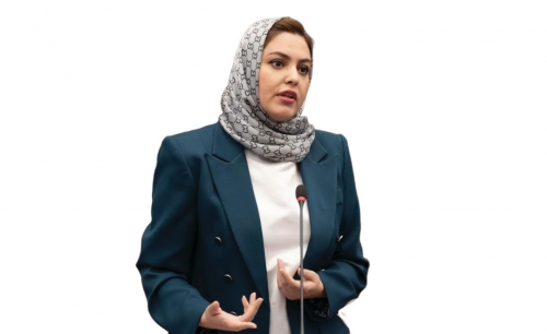 Jid Ali sewer project to serve 274 properties as works near completion