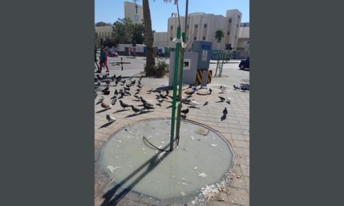 When can we expect an end to littering the streets of Bahrain?