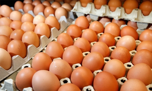 Aldi pulls eggs from German stores over insecticide scandal