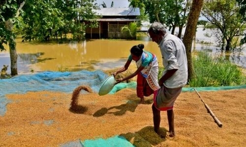 Floods kill 25 in India's Assam, displace thousands