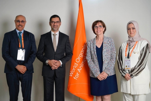 Bahrain, partners boost animal health cooperation in Paris talks