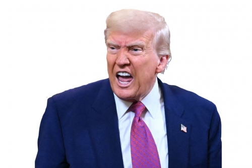 Trump advisor says US may take stakes in other firms after Intel