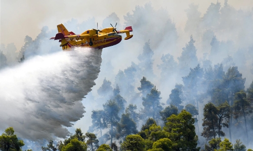 Firefighters try to stop Greek island blaze from reaching forest