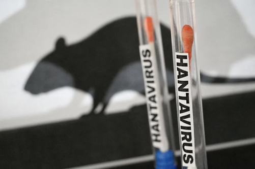 No Hantavirus Detected in Argentina’s Second Search Province No Hantavirus Detected in Argentina’s Second Search Province