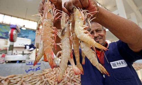 Bahrain Coast Guard official jailed for leaking patrol routes to aid illegal shrimping