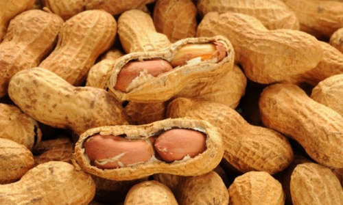 Australian researchers in peanut allergy breakthrough