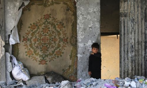 Arab states praise Ireland, Norway and Spain for recognizing State of Palestine