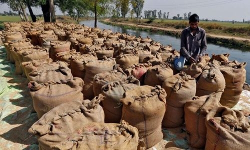 India considering exporting 1 million tonnes of stuck broken rice cargoes