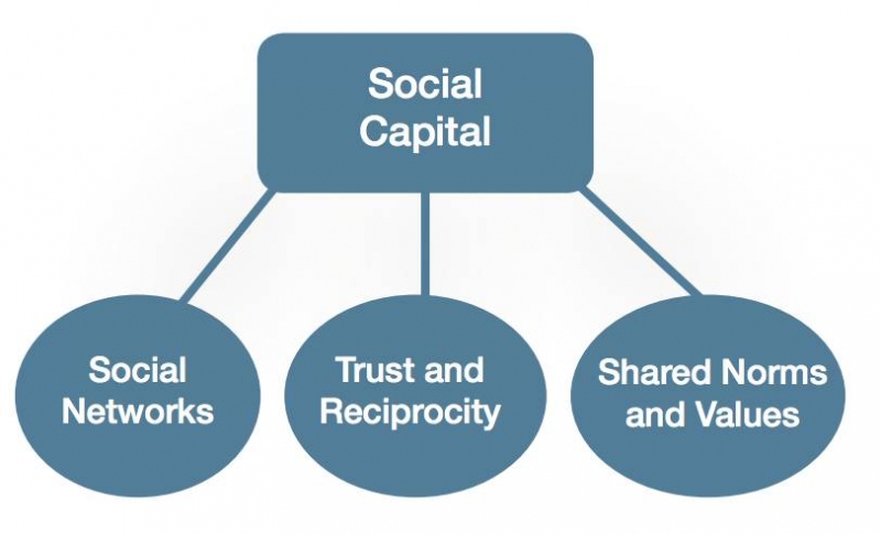 Social-Capital and GroupCultures and Successful Teams