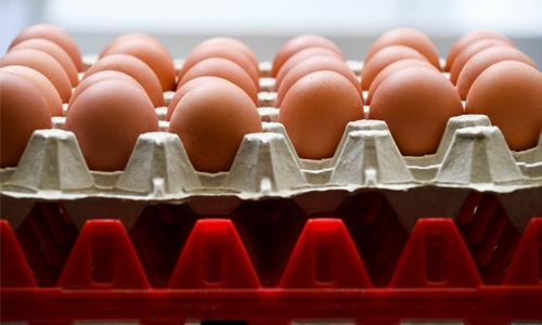 Europe's tainted egg scare reaches Spain Europe's tainted egg scare reaches Spain