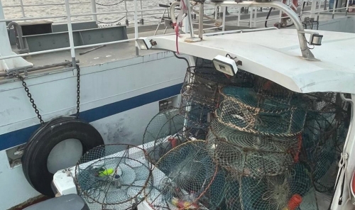 46 Illegal Marine Traps Seized Across Kingdom