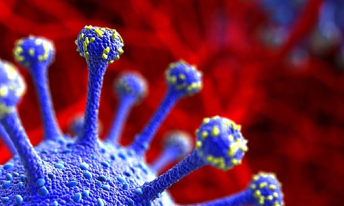 New COVID-19 variant ‘IHU’ detected in France New COVID-19 variant ‘IHU’ detected in France