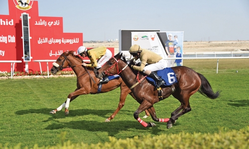 Outsider Donny Rover wins richest race Outsider Donny Rover wins richest race