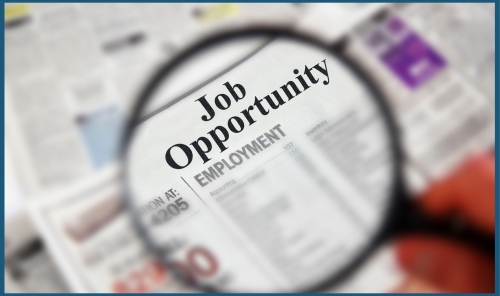 Minister: No Job Is Assigned Without Matching the Applicant’s Qualification Minister: No Job Is Assigned Without Matching the Applicant’s Qualification