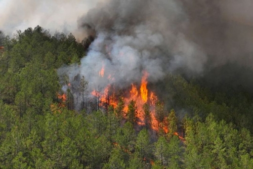 EU Ramps Up Support as Wildfires Rage Across Europe EU Ramps Up Support as Wildfires Rage Across Europe