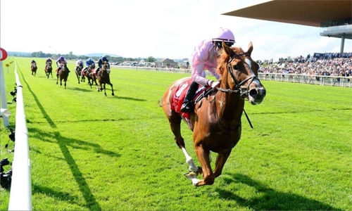 Irish Derby winner to race in Bahrain International Trophy