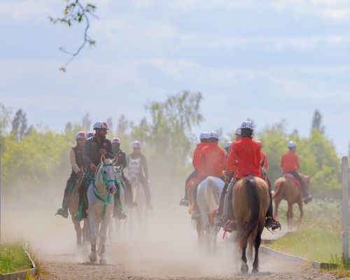 Royal Endurance Team set for vet examination ahead of Windsor Championship Royal Endurance Team set for vet examination ahead of Windsor Championship
