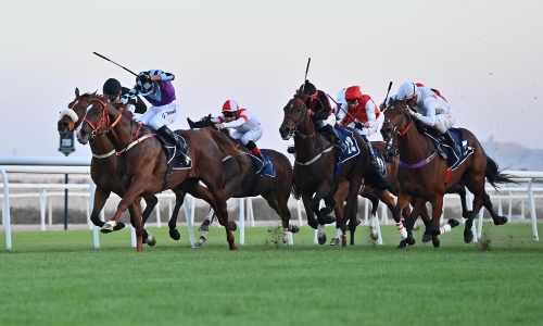 Ecosystem lifts KFH Cup at REHC