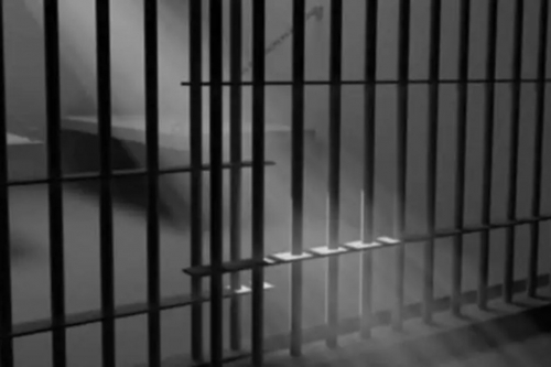 Man Jailed One Year for Forging Vehicle Documents