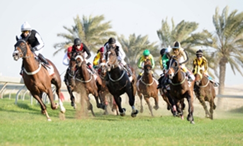 Horse racing: Six races today