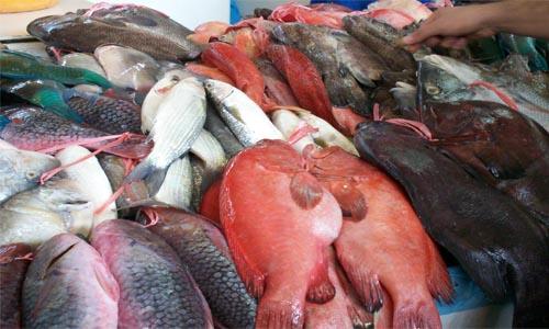 Worker uses fish cutter to scratch foot… shop shut