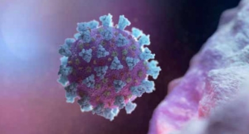 Nasal spray kills COVID-19 virus!