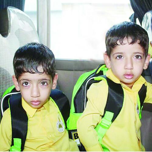 Twins drown in swimming pool Twins drown in swimming pool