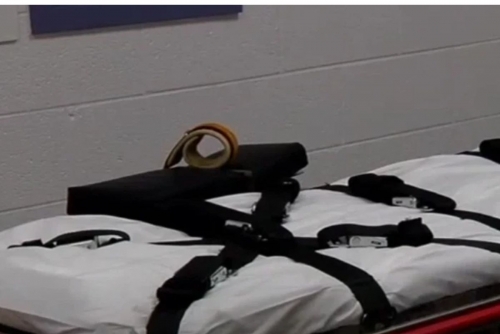 Tennessee calls off botched lethal injection after authorities fail to tap vein 