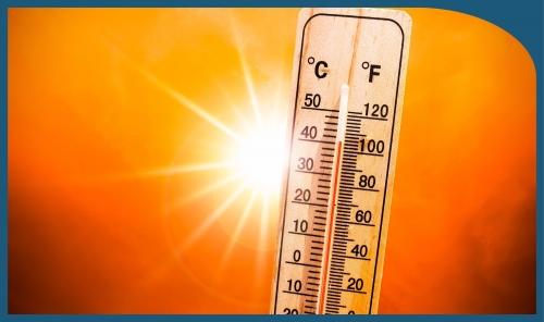 Heatwaves Could Speed Up Aging, New Study Finds