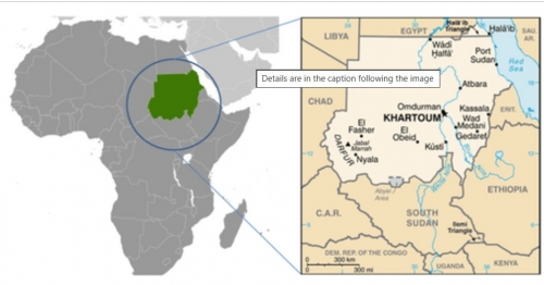 Drone Strike Kills 12, Including Children, in Sudan's Darfur