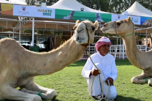 Bahrain to Host 