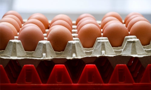 Tainted-eggs scandal reaches Italy