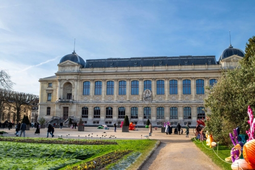 Chinese Woman Arrested in $1 Million Paris Museum Theft