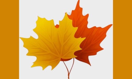 Bahrain Blooms at Autumn Fair Bahrain Blooms at Autumn Fair