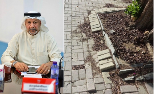 Southern Council backs ban on damas trees in residential areas