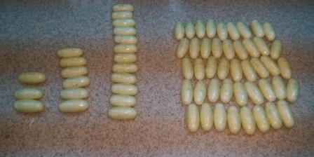 PAKISTANI SMUGGLES DRUGS FOR BAHRAINI WORK PERMIT PAKISTANI SMUGGLES DRUGS FOR BAHRAINI WORK PERMIT