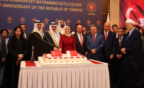 Turkish Ambassador Calls for Peace in Gaza