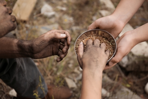 Global hunger falls across continents as UN warns of climate, trade threats Global hunger falls across continents as UN warns of climate, trade threats