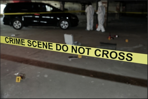 Senior South African Police Officer Shot Before Corruption Inquiry Appearance