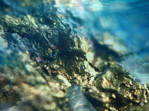 Asia’s Largest Underwater Gold Mine Discovered in China