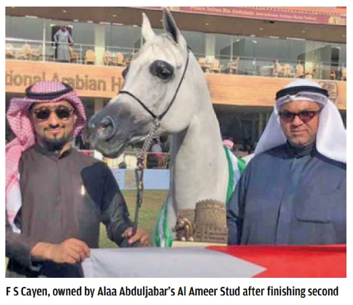 Bahraini horses excel in beauty championship Bahraini horses excel in beauty championship