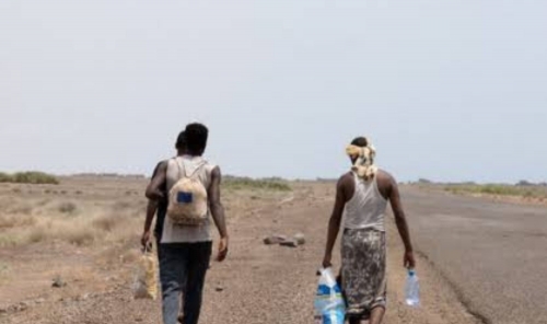 Yemen Displacement Surges to 76,000 Yemen Displacement Surges to 76,000
