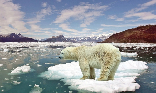 UN climate negotiations not derailed after US pullout UN climate negotiations not derailed after US pullout