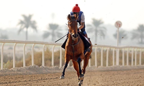 Bahrain International Trophy to be shown live in 130 countries