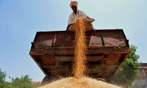 Global rice prices hit 15-year high after India curbs: FAO Global rice prices hit 15-year high after India curbs: FAO