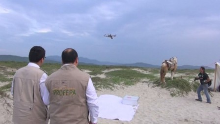 Drones and troops protect Mexico sea turtle eggs Drones and troops protect Mexico sea turtle eggs