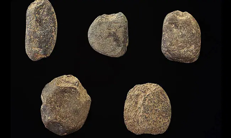 World’s oldest fishing net sinkers found in S. Korea World’s oldest fishing net sinkers found in S. Korea