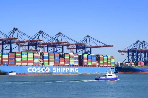 China shipping giant Cosco says resumes bookings to some Gulf countries