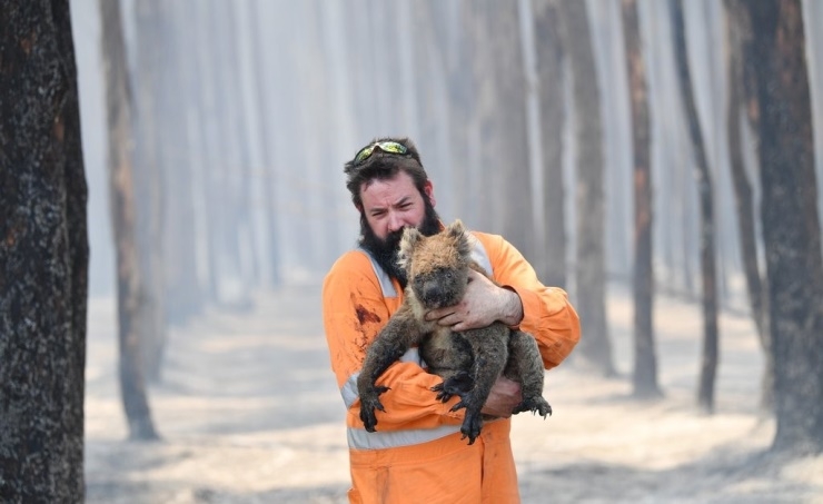 Australia's bush fire season released more CO2 than annual emissions